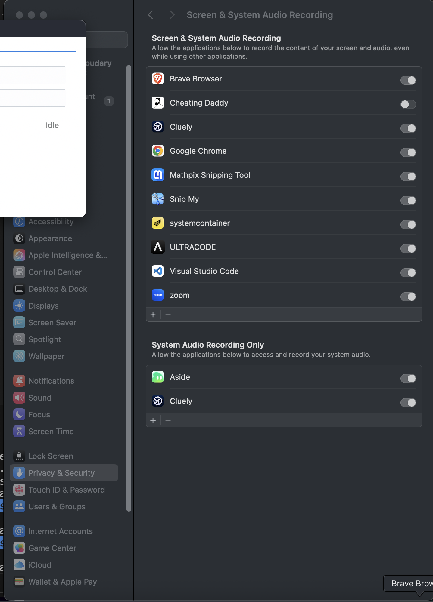 Go to Screen & System Audio Recording
